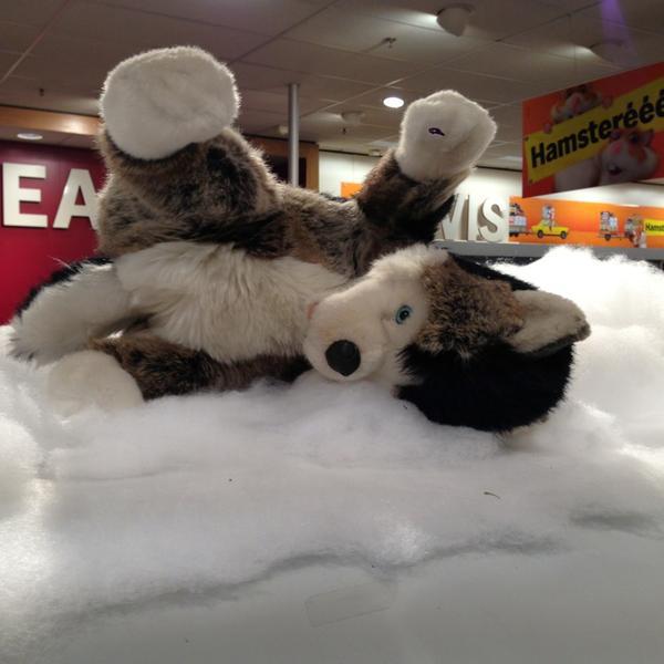 Photo taken at Albert Heijn XL by Hennie T. on 1/18/2013-荷兰南荷兰省鹿特丹淘金路1号 Photo taken at Albert Heijn XL by Hennie T. on 1/18/2013