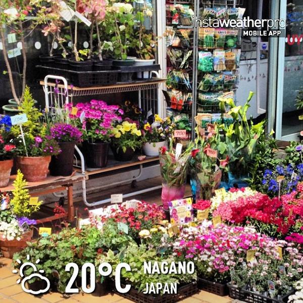 Photo taken at 西友 川中岛店 by mihoshi 5. on 5/6/2013