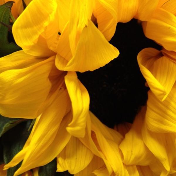 Photo taken at Trader Joe's by Laura R. on 3/13/2012