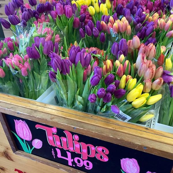 Photo taken at Trader Joe's by Samantha N. on 2/13/2015