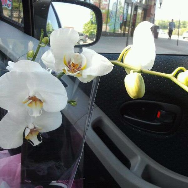 Photo taken at Trader Joe's by HH on 5/13/2012