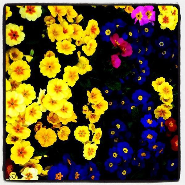 REWE 德国下萨克森州希尔德斯海姆斯克瑞特万尼街36号