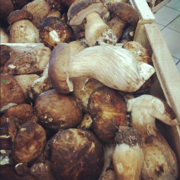 Photo taken at Coop Pontassieve by Jean-Louis V. on 6/1/2012-意大利托斯卡纳蓬塔谢韦阿尔弗雷多和卡罗德尔广场1-3 Photo taken at Coop Pontassieve by Jean-Louis V. on 6/1/2012
