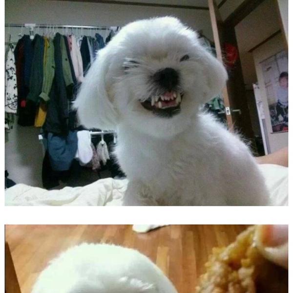 Photo taken at 이마트 (e-mart) by narm on 11/1/2013-京畿道高阳市东阳区79易买得超市 Photo taken at 이마트 (e-mart) by narm on 11/1/2013