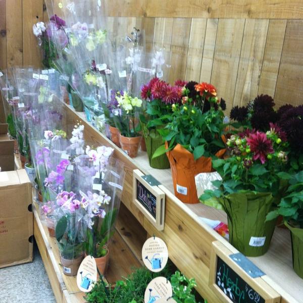 Photo taken at Trader Joe's by Terry -内华达州拉斯维加斯华盛顿大道7575号 Photo taken at Trader Joe's by Terry