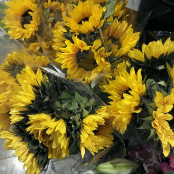 Photo taken at Whole Foods Market by Christopher R. on 4/8/2012-俄亥俄州大学锡达路13998号 Photo taken at Whole Foods Market by Christopher R. on 4/8/2012