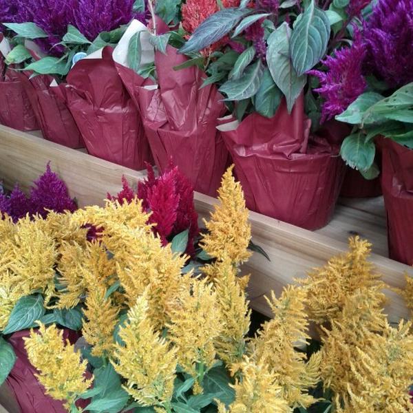 Photo taken at Trader Joe's by Marc V. on 11/10/2012