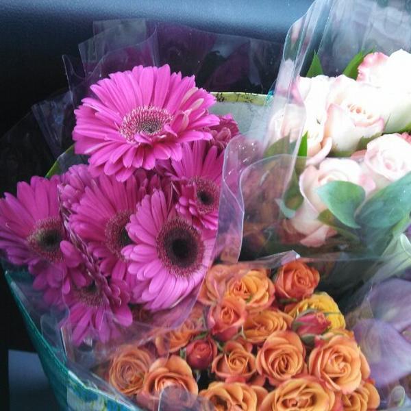 Photo taken at Trader Joe's by Sarah M. on 4/26/2013