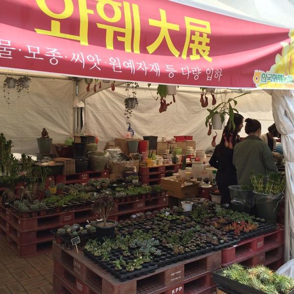 Photo taken at 홈플러스 (Home plus) by Lily Hanra K. on 4/22/2014-首尔市永登浦区堂山路42号 Photo taken at 홈플러스 (Home plus) by Lily Hanra K. on 4/22/2014