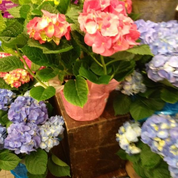 Photo taken at Whole Foods Market by Lisa on 3/25/2012-美国马萨诸塞州波士顿韦斯特兰大道15 Photo taken at Whole Foods Market by Lisa on 3/25/2012