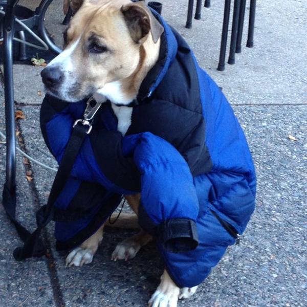 Photo taken at Whole Foods Market by Abbe D. on 10/13/2012-美国马萨诸塞州波士顿韦斯特兰大道15 Photo taken at Whole Foods Market by Abbe D. on 10/13/2012