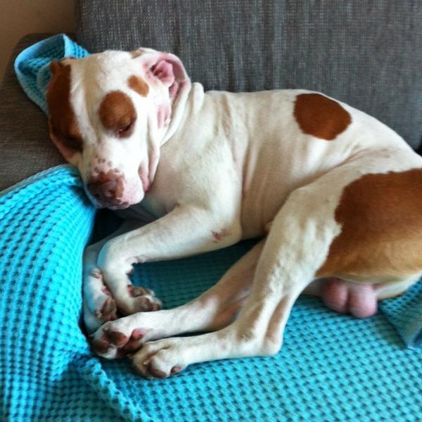 Photo taken at Billa by Neriman Ö. on 2/8/2014