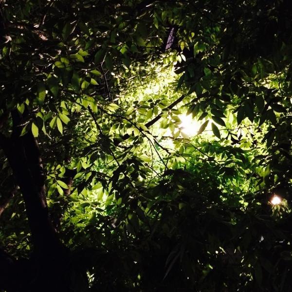 Photo taken at 홈플러스 (Home plus) by Seungwoo C. on 5/10/2014-首尔市道峰区道峰路678号(放鹤店) Photo taken at 홈플러스 (Home plus) by Seungwoo C. on 5/10/2014