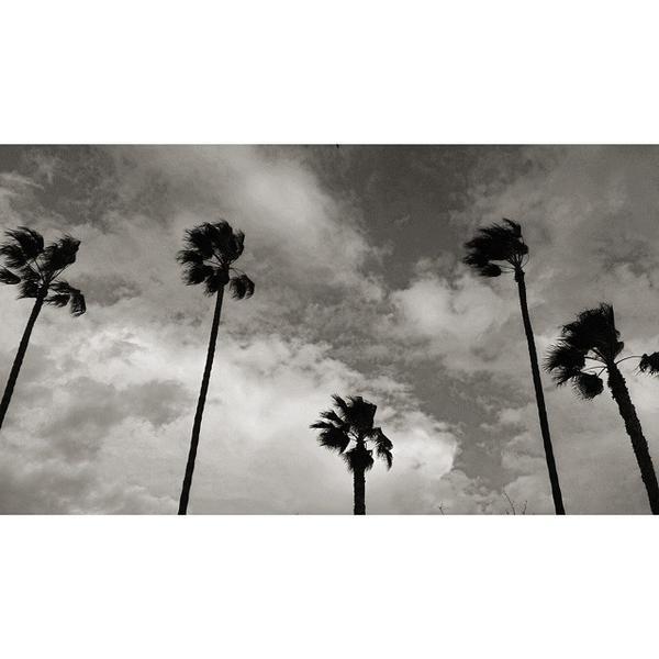 Photo taken at Trader Joe's by Dan L. on 3/2/2015