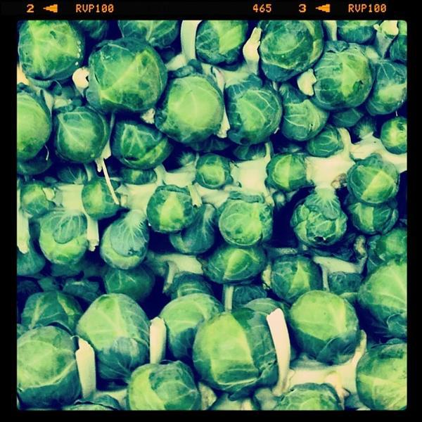 Photo taken at Trader Joe's by Brooke B. on 11/26/2013