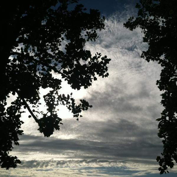 Photo taken at Trader Joe's by Michelle M. on 8/27/2013