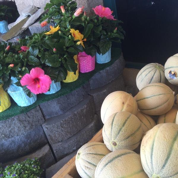 Photo taken at Trader Joe's by Jeanette J. on 8/5/2014-加利福尼亚州雷德兰兹橘子大街552号(在珍珠街和斯图亚特街之间) Photo taken at Trader Joe's by Jeanette J. on 8/5/2014