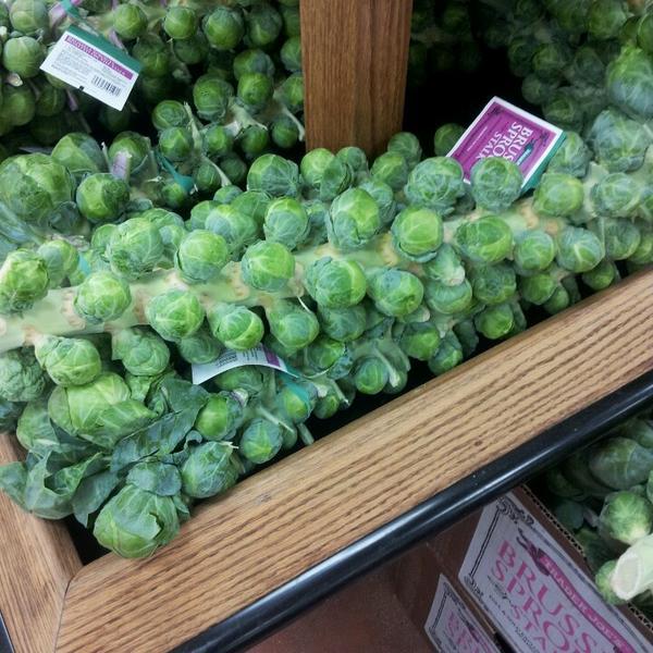 Photo taken at Trader Joe's by Brigette on 11/23/2014-美国加利福尼亚州亨廷顿比奇汉密尔顿21431 Photo taken at Trader Joe's by Brigette on 11/23/2014
