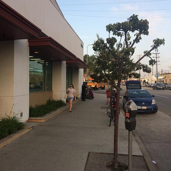 Photo taken at Trader Joe's by Nick C. on 2/20/2015