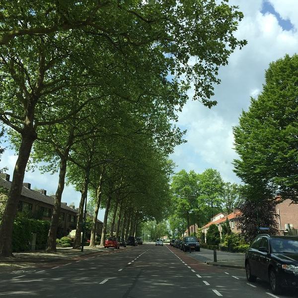 Albert Heijn图片库