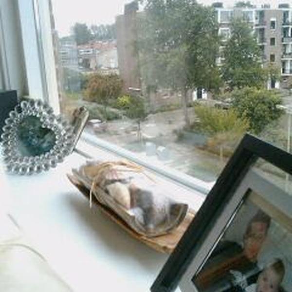 Photo taken at PLUS by Harley W. on 9/12/2011