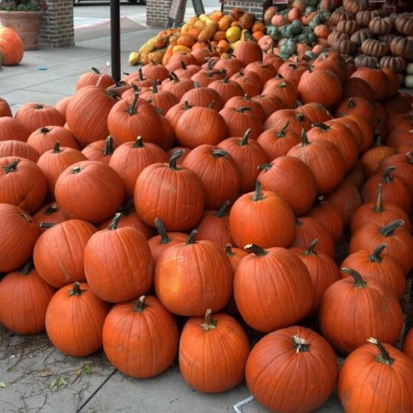 Photo taken at Whole Foods Market by Armand A. on 9/13/2012