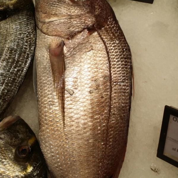 Photo taken at Coop by Alexander G. on 5/28/2014-意大利利古里亚圣雷莫高碌街113 Photo taken at Coop by Alexander G. on 5/28/2014