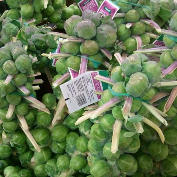 Photo taken at Trader Joe's by Brutha John on 12/23/2011-美国加利福尼亚州帕萨迪纳罗斯米德大道北467 Photo taken at Trader Joe's by Brutha John on 12/23/2011