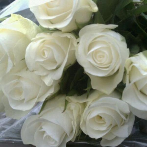 Photo taken at Trader Joe's by Dana C. on 10/1/2011-宾夕法尼亚州匹兹堡市佩恩大道6343号 Photo taken at Trader Joe's by Dana C. on 10/1/2011