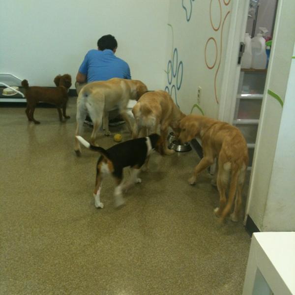 Photo taken at 이마트 트레이더스 (E-Mart Traders) by Sunhwa H. on 8/18/2012-大田西区580易买得超市 Photo taken at 이마트 트레이더스 (E-Mart Traders) by Sunhwa H. on 8/18/2012