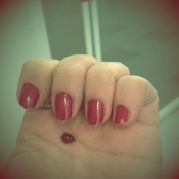 Photo taken at Flora  Bayan kuaförü by 