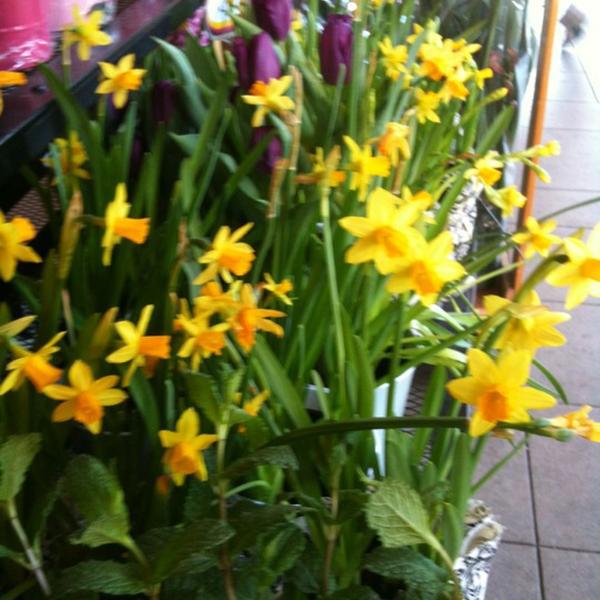 Photo taken at Trader Joe's by Lucy D. on 1/28/2012