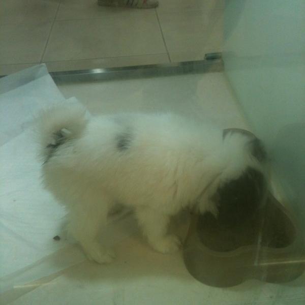 Photo taken at 홈플러스 (Home plus) by Shinil C. on 10/26/2013-首尔市江西区禾谷路398号 Photo taken at 홈플러스 (Home plus) by Shinil C. on 10/26/2013