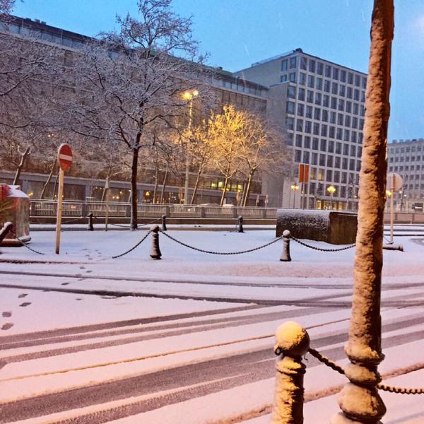 Proxy Delhaize图片库