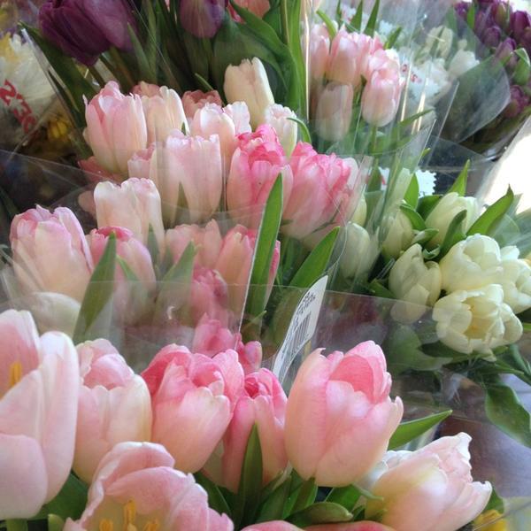 Photo taken at Trader Joe's by April J. on 2/17/2013