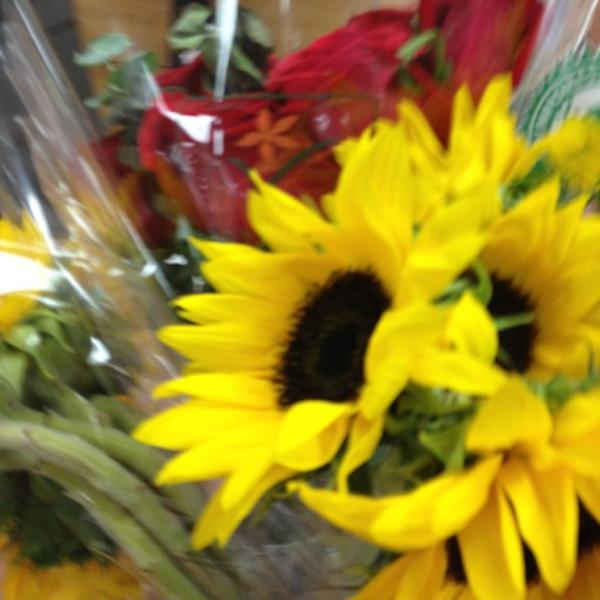 Photo taken at Trader Joe's by Amanda F. on 10/14/2012-密歇根州格罗斯波因特克切弗尔大道17028号(在圣母玛利亚大街) Photo taken at Trader Joe's by Amanda F. on 10/14/2012