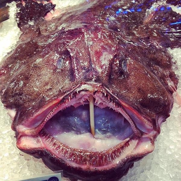 Photo taken at Whole Foods Market by Joe R. on 5/16/2014-爱达荷 博伊西百老汇大道401(前街) Photo taken at Whole Foods Market by Joe R. on 5/16/2014