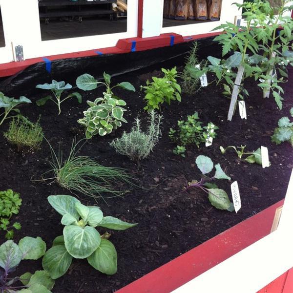 Photo taken at Whole Foods Market by Heidi H. on 9/9/2012-美国南卡罗来纳州芒特普莱森特杜琪峰兹大道923 Photo taken at Whole Foods Market by Heidi H. on 9/9/2012