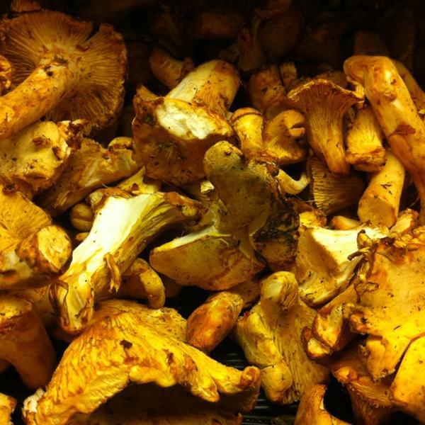 Photo taken at Whole Foods Market by Devany V. on 7/19/2012-美国南卡罗来纳州芒特普莱森特杜琪峰兹大道923 Photo taken at Whole Foods Market by Devany V. on 7/19/2012