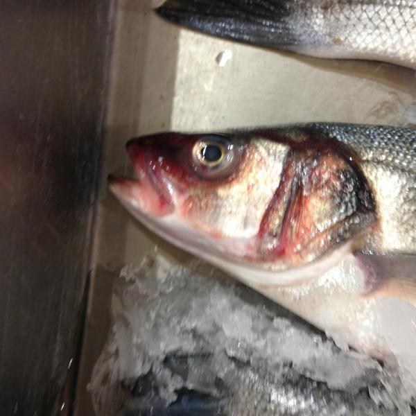 Photo taken at Whole Foods Market by Dr. E.N. S. on 9/16/2013