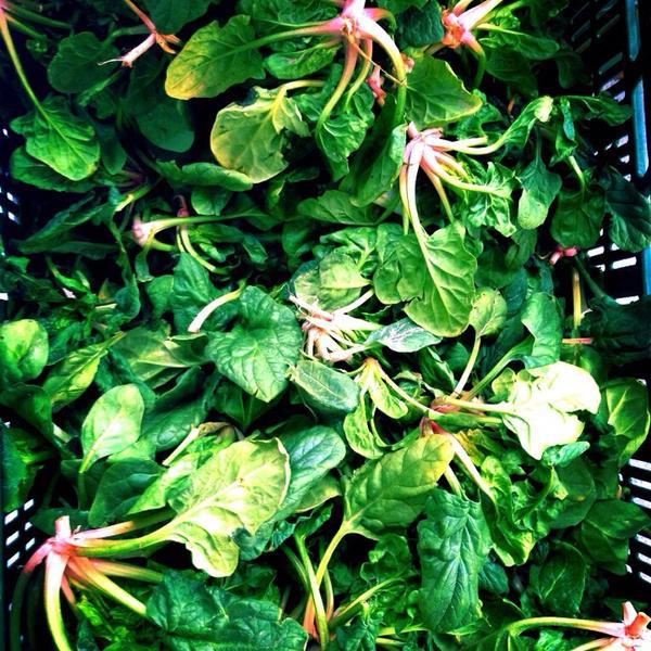 Photo taken at Flora Mama by effie e. on 2/26/2014