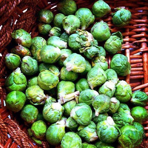 Photo taken at Flora Mama by effie e. on 2/26/2014