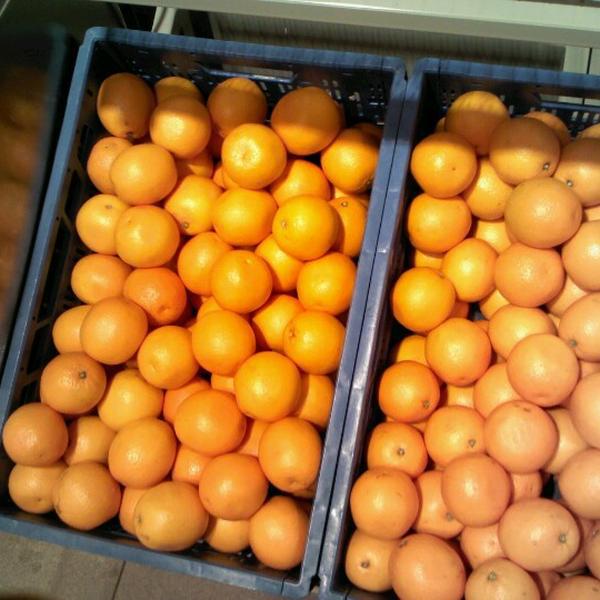 Photo taken at PLUS by Carlos R. on 10/5/2012-荷兰乌特勒支阿默斯福特 Photo taken at PLUS by Carlos R. on 10/5/2012