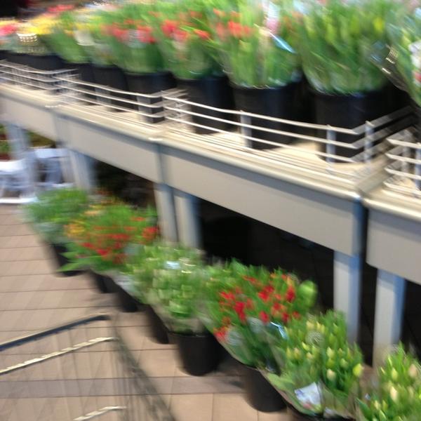 Photo taken at Albert Heijn by Mieke-荷兰南荷兰省巴伦德雷赫特中间车道97号 Photo taken at Albert Heijn by Mieke