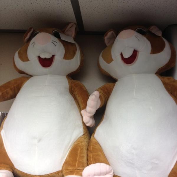 Photo taken at Albert Heijn by Mieke-荷兰南荷兰省巴伦德雷赫特中间车道97号 Photo taken at Albert Heijn by Mieke