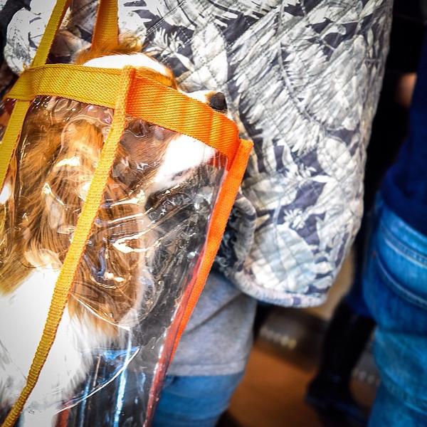 Photo taken at Billa Corso Herrnhuterhaus by @phreak20 on 3/21/2015