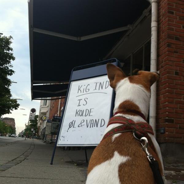 Photo taken at Irma Rosenørns Allé by Teo S. on 8/2/2012