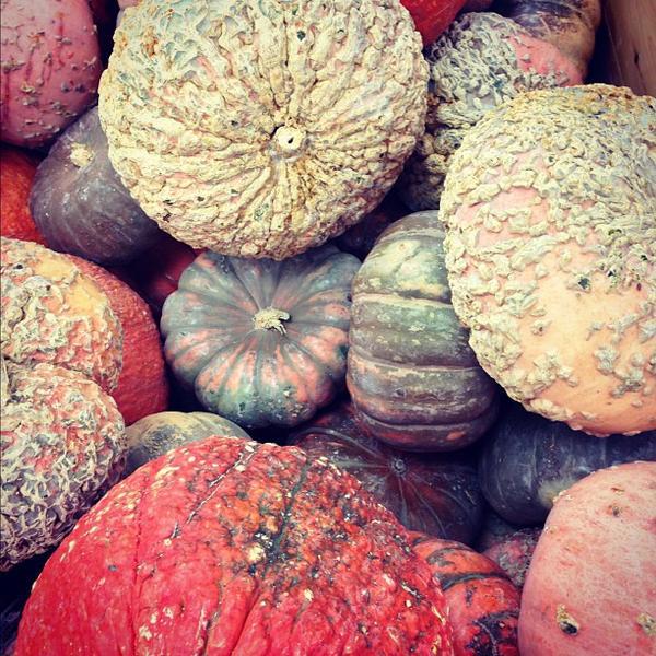 Photo taken at Trader Joe's by Tony A. on 11/5/2012-美国阿利桑那州凤凰城乳木果大道东4726 Photo taken at Trader Joe's by Tony A. on 11/5/2012