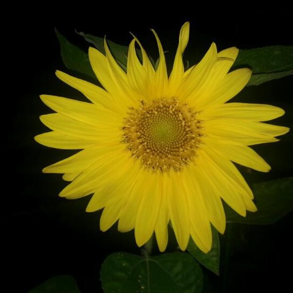 Photo taken at Home plus express by Daesung P. on 7/13/2014-京畿道城南盆唐区 Photo taken at Home plus express by Daesung P. on 7/13/2014