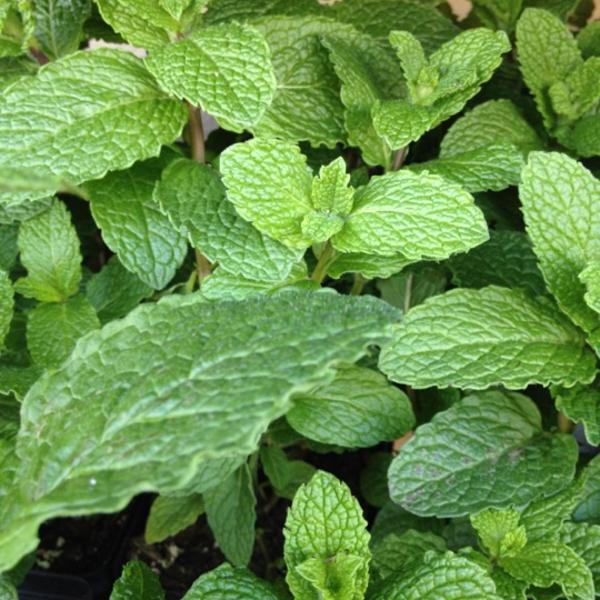 Photo taken at Whole Foods Market by Kat M. on 3/31/2012-美国新墨西哥州阿布奎基卡莱尔大道东北2103 Photo taken at Whole Foods Market by Kat M. on 3/31/2012